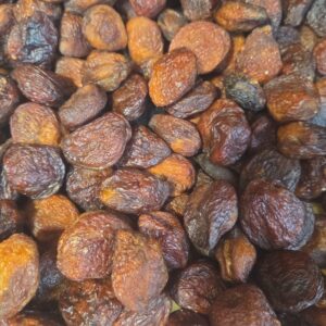 Özbək dənəli ərik