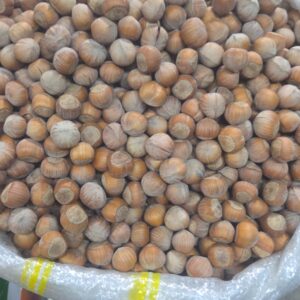 Qabıqlı fındıq Qazax