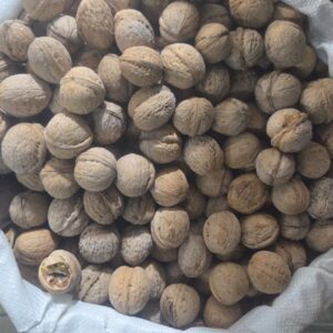 Qabıqlı qoz Ordubad